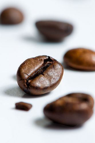 一颗千变万化的咖啡豆