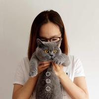 迷特波魯